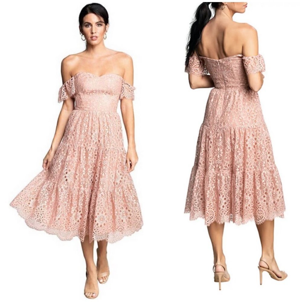 DRESS THE POPULATION River Lace Off the Shoulder Fit & Flare Dress Blush L NWOT